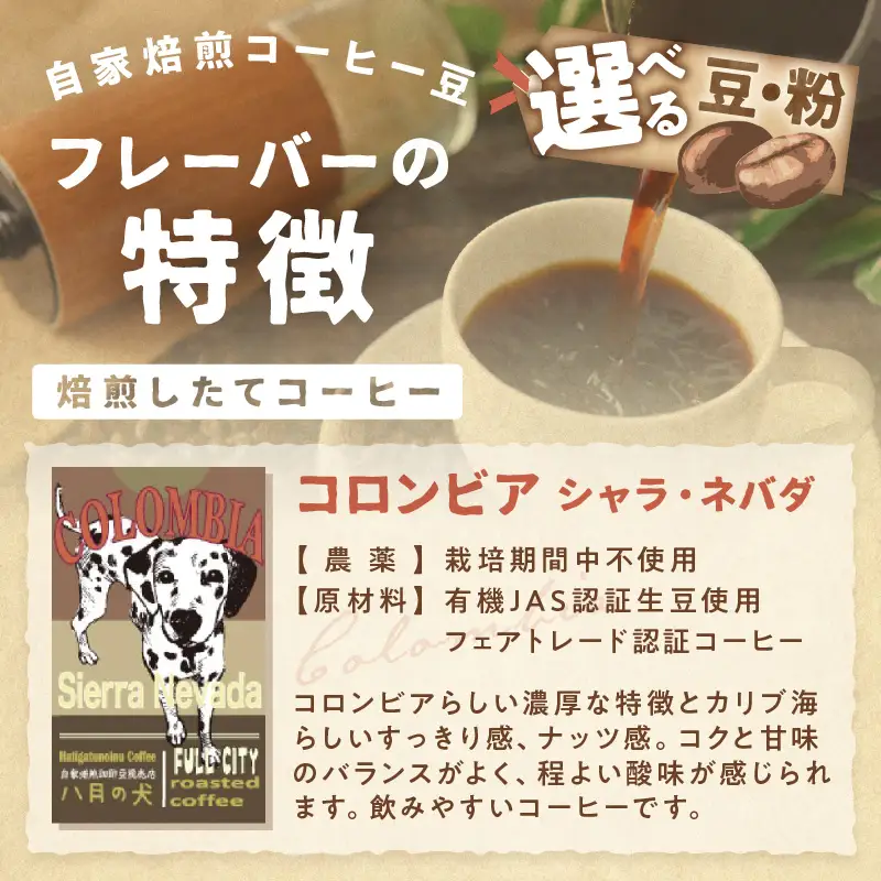 【コーヒー豆】 コロンビア シエラネバダ 500g コーヒー豆