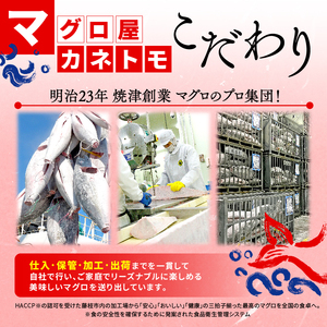 本マグロ赤身 約1kg 【まぐろ】
