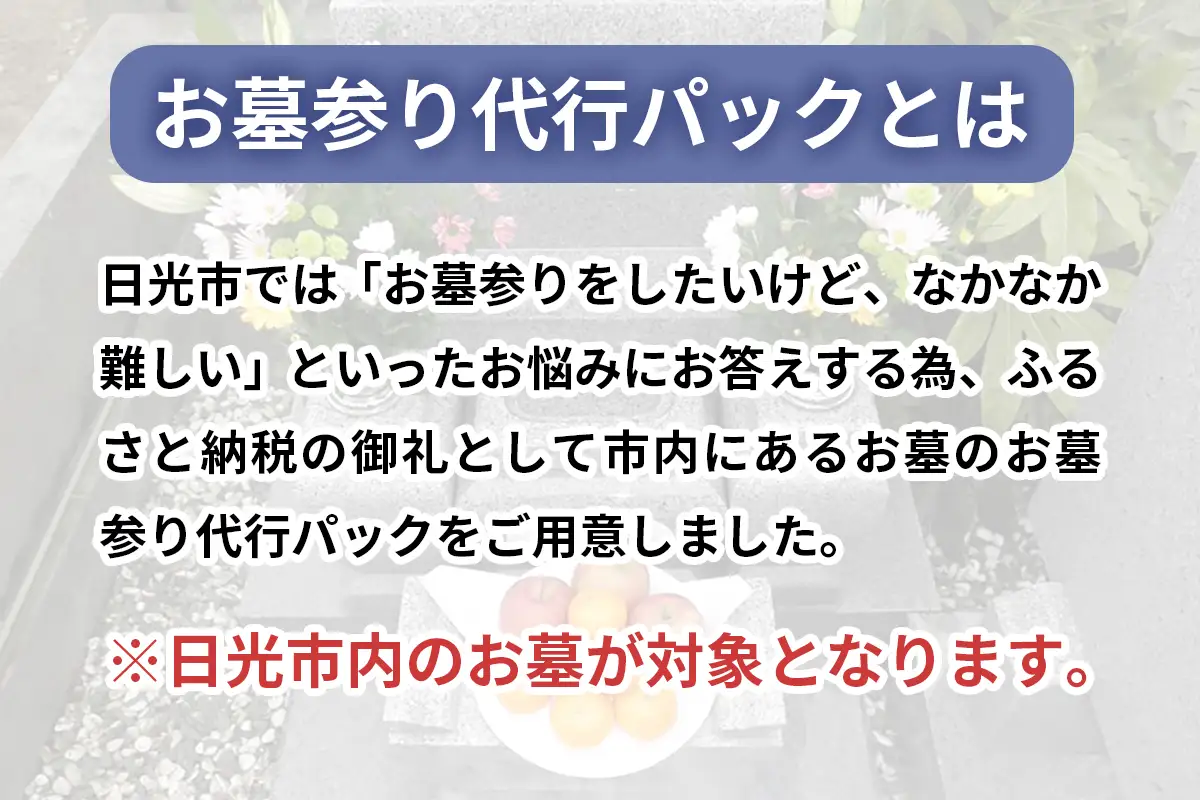 ふるさと日光安心サポート お墓参り代行パック 年間3回【プロのお墓掃除と耐震検査無料サービス付き】 [0523]