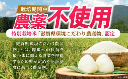 栽培期間中農薬不使用 特別栽培米 コシヒカリ玄米5Kg×３袋[AQBL006]こしひかり