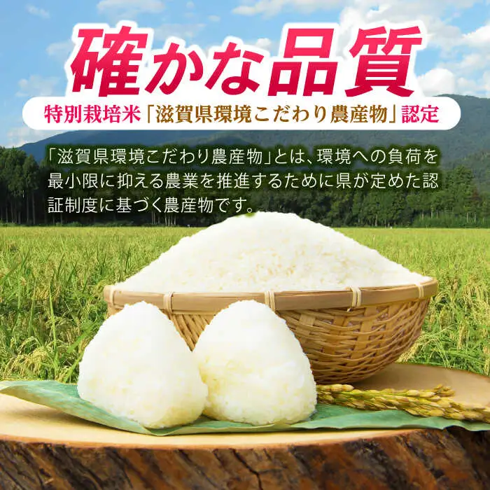 低農薬栽培 ミルキークイーン 白米10kg[AQBL020] 白米