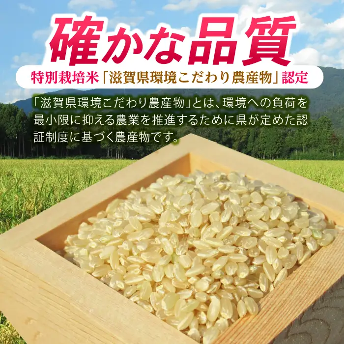 低農薬栽培 ミルキークイーン 玄米10kg[AQBL021] ミルキークイーン
