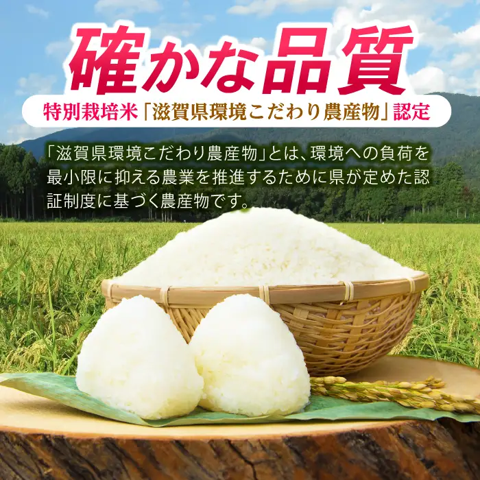 低農薬栽培 ミルキークイーン 白米5kg[AQBL023] 白米