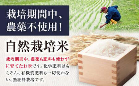 【先行予約】令和8年産 新米 6回定期 ミルキークイーン 2kg 玄米 [AQCP009]