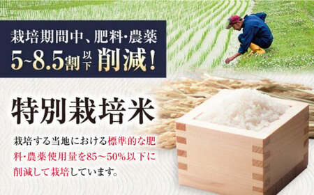 令和8年産 新米 ミルキークイーン 5kg 玄米 特別栽培米 [AQCP019]