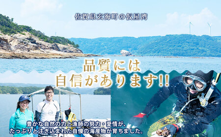 玄海町産 活サザエ 1.0kg ／ 数量限定 壺焼き サザエ【A186】