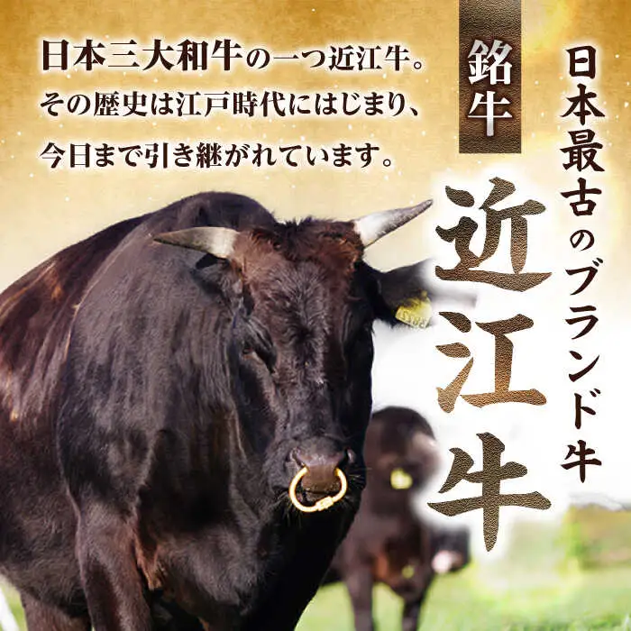 近江牛 モモスライス500g[AQCS002] 近江牛 牛肉