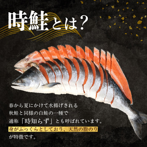 天然時鮭切身 3切入×5パック 鮭 サケ 焼き魚 _HD087-016