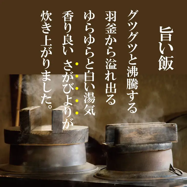 【先行予約】】R8年度産（令和8年度産） 佐賀ブランド 米「 さがびより 」 5kg B120-092
