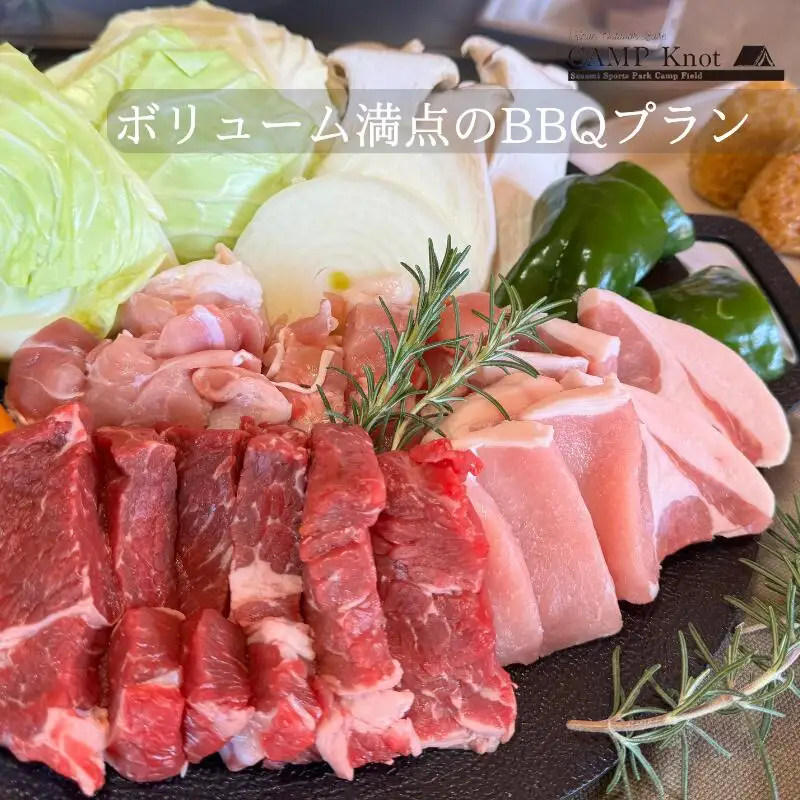 太平洋を一望！　日帰りBBQプラン 2名様　バーベキューサウナ / キャンプ きゃんぷ テント アウトドア BBQ サウナ 焚火 肉 バーベキュー 口コミ 海 すさみ町 和歌山 【not003】