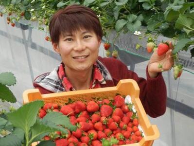 【2027年（令和9年）1月～発送】奈良ブランドいちご２種（古都華と他１種）食べ比べセット×２セット （古都華２パック＋別品種２パックの計４パック） (他１種は、かおりの・珠姫・奈乃華・ならあかり・あすかルビーのいずれか) イチゴ いちご 苺 めいとく農園