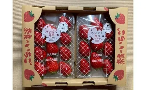  【2027年（令和9年）1月～発送】いちご 苺 珠姫（たまひめ）×4パック 甘い 大粒 イチゴ めいとく農園