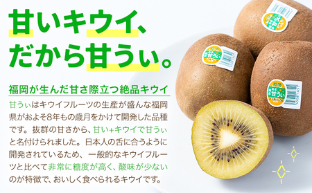 キウイ 甘うぃ 約1.5kg 南国フルーツ株式会社【26年度出荷】《10月下旬-11月末頃出荷》福岡県 鞍手町 福岡県産 キウイ フルーツ キウイフルーツ 果物