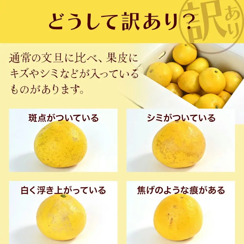 【先行予約】高知県産 訳あり 土佐文旦 約10kg 〈2027年1月下旬頃から発送〉 / 傷 シミ 訳アリ 【株式会社　四国健商】[ATAF038] 支援 支援品