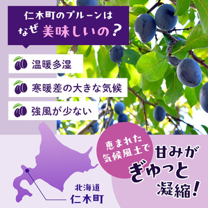 [2026年発送] 仁木町の採れたて「サンプルーン」サイズ混載 2kg（500g×4パック） 北海道 仁木 果物 フルーツ プルーン [フルーツショップ妹尾観光農園]