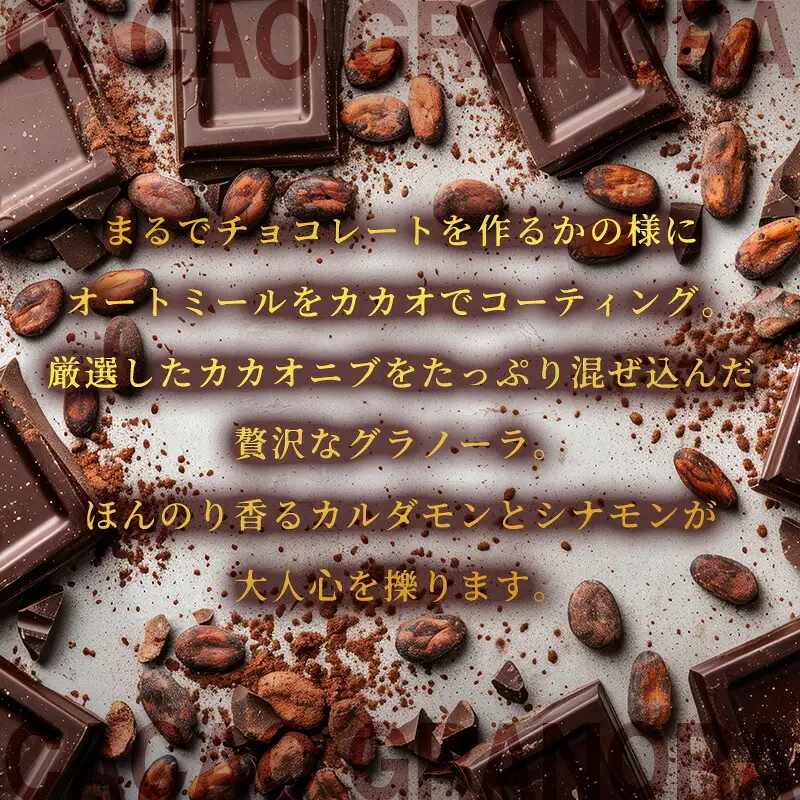 グラノーラ カカオ FRUCTUS 250g | 朝ごはん グラノーラ