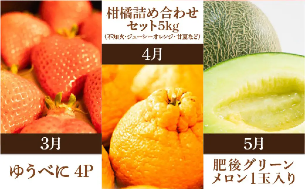 ＜ R8年熊本地震復興支援 ＞プロが選ぶ！旬の果物 6ヶ月定期便 【2027年3月上旬～8月下旬発送予定】 フルーツ いちご 柑橘 メロン スイカ シャインマスカット 梨