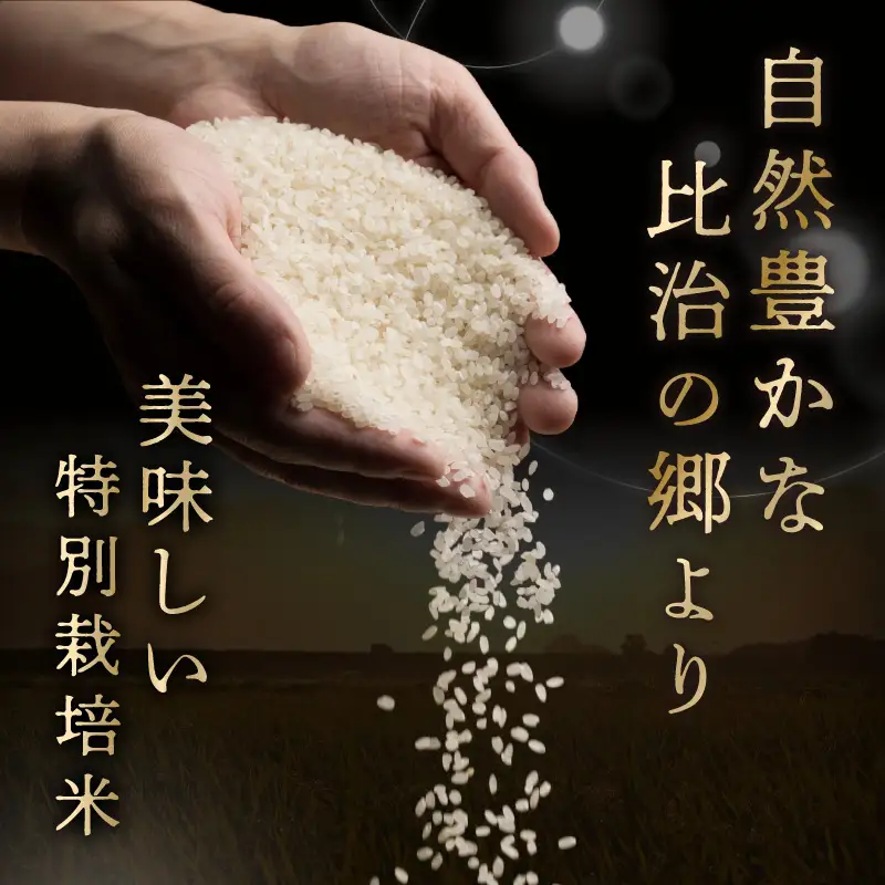 【定期便6回】令和8年産 特別栽培米コシヒカリ 蔵人（くらんど） 精米5kg