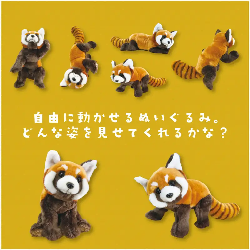 ともだちになれるぬいぐるみ！【ANI-PAL アニ・パル】（マヌルネコ）