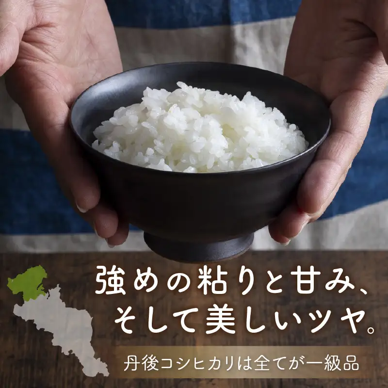 令和7年産　京都・京丹後産コシヒカリ　5kg（5kg×1袋）お米 ごはん ご飯 コシヒカリ こしひかり おにぎり 精米 白米 ふるさと納税 米