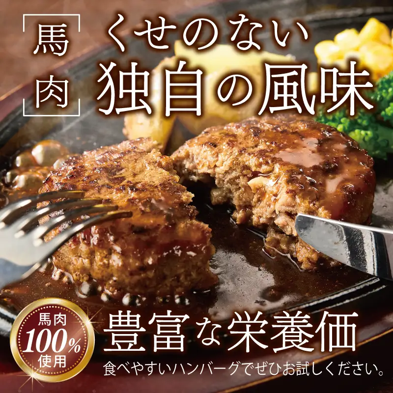 桜文 馬肉ハンバーグ 総量1.2kg（120g×10個） 個包装