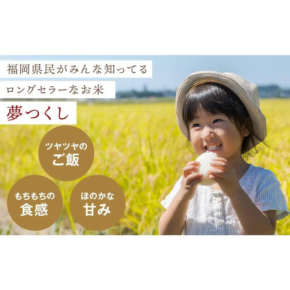 【令和7年産】福岡県産 米 夢つくし 15kg セット ( 5kg×3袋 ) | 米 お米 こめ 白米 精米 ライス ブランド米 美味しい ご飯 おいしい ごはん