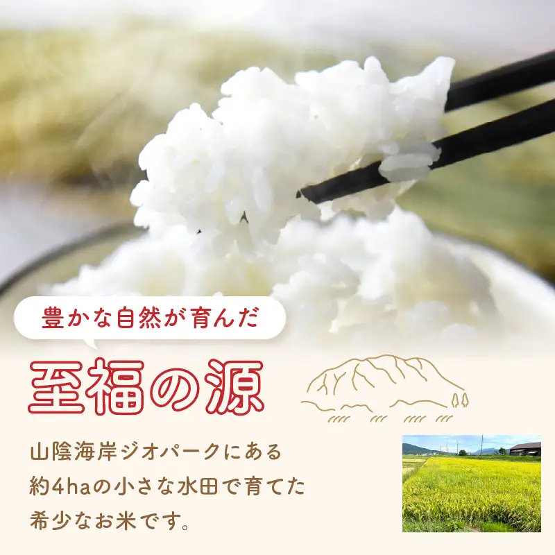【先行予約】丹後弥栄産コシヒカリ（玄米10kg）