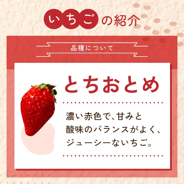 大粒！田口さんのいちご（とちおとめ）2パック（600g）贈答用｜完熟 食べ比べ 苺 イチゴ フルーツ 安心 土耕栽培※2027年1月上旬以降発送予定