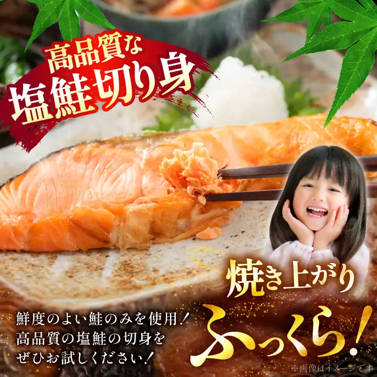 訳あり 減塩 塩鮭 切身 総重量 約3kg  サケ しゃけ 魚 鮭