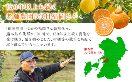 福岡農園 不知火 2kg《1月上旬-1月末頃出荷》熊本県 氷川町 柑橘 果物 フルーツ