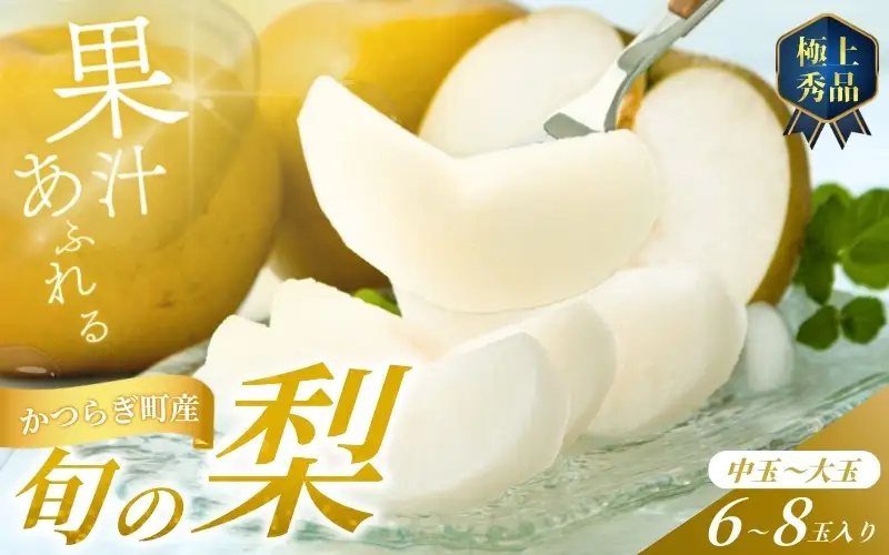 【先行予約】旬の梨(幸水ー豊水ーあきづき) 極上秀品（中玉～大玉）6～8個入り 2027年8月中旬～9月下旬頃に順次発送予定（お届け日指定不可）/ 和歌山 梨 フルーツ 果物 くだもの【kgr015A】
