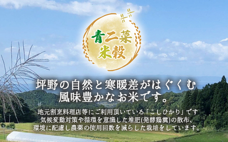 山の湧き水 寒暖差 山里 山里の米･坪野米 R8年産 こしひかり 15kg　※北海道・沖縄・離島への配送不可 ※2026年10月～発送
