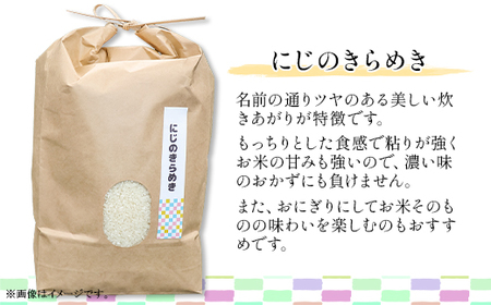 600 茨城県産にじのきらめき 10kg(5kg×2袋)【株式会社桝味】