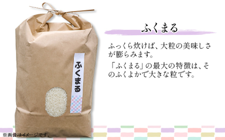 601 茨城県産ふくまる 5kg【株式会社桝味】