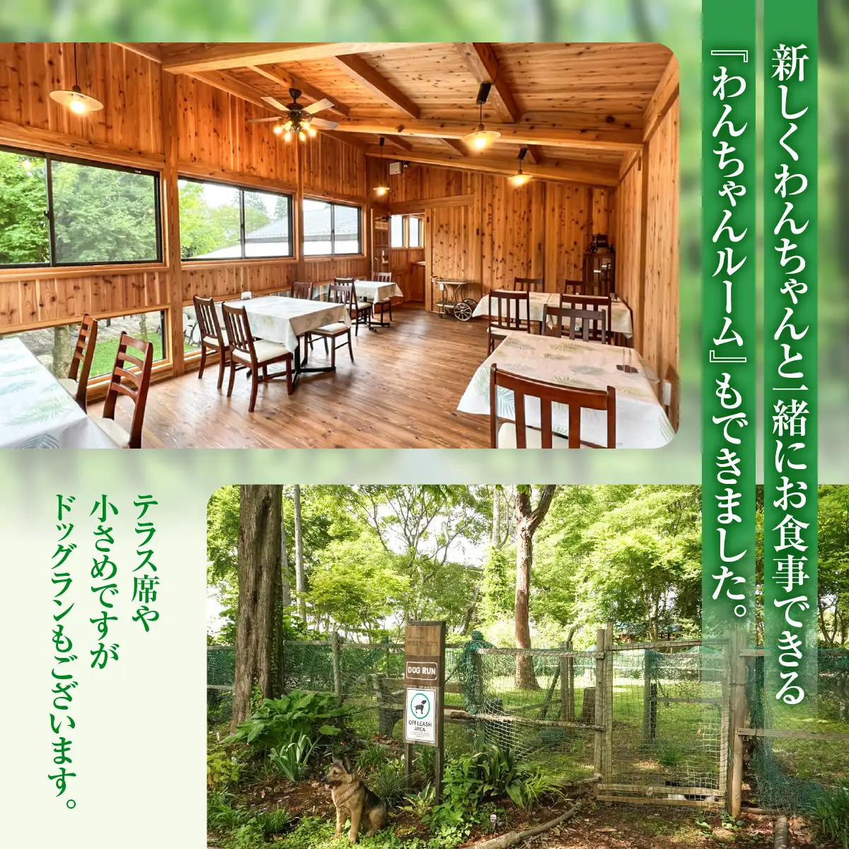 森の中のレストランふらんす屋 お食事券 15,000円分（1,000円分×15枚） SMCB005