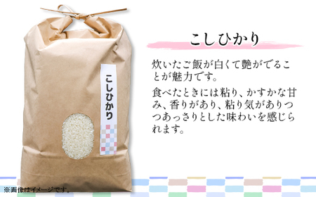 603 茨城県産コシヒカリ 5kg【株式会社桝味】