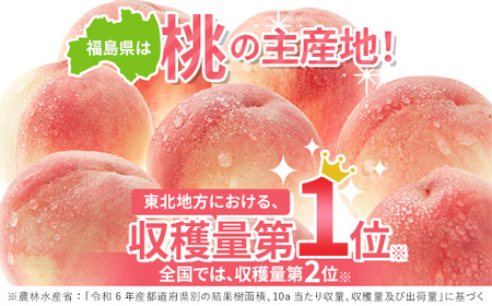 【2026年出荷分先行予約】福島県産 シーエックス 約2kg (5～8玉) 森果樹園 自然豊かな月舘で育った桃 伊達の桃 桃 フルーツ 果物 もも モモ momo F21C-230