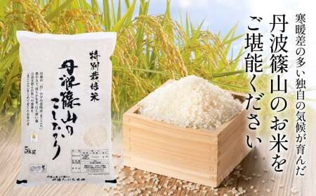 【6回定期便】特A 特別栽培米 コシヒカリ 精米 20kg 定期便