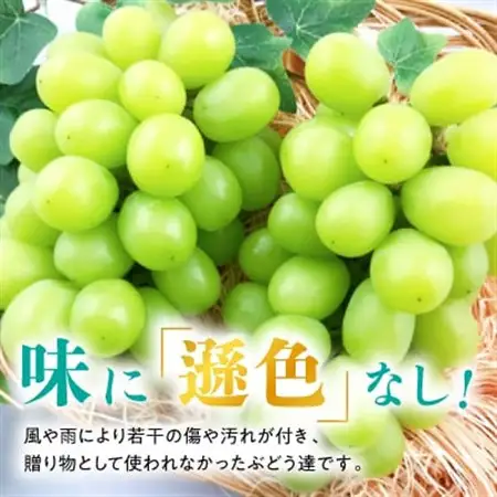 【2026年発送】訳あり!シャインマスカット晴王☆約2kg!9月上旬～順次発送【人気の岡山産ぶどう】【配送不可地域：離島】【1378276】
