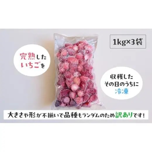【訳あり】冷凍いちご　3kg (1kg×3袋)