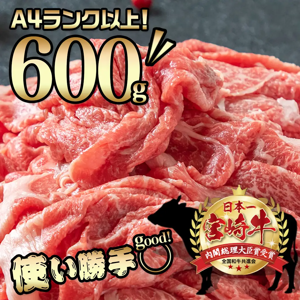 宮崎牛切り落とし600g〔AA-89-006-600g〕_(都城市) 国産黒毛和牛 ブランド牛 牛肉 宮崎牛切落とし肉 300g×2パック 計600グラム 牛丼や炒め物などに 万能 冷凍 国産 九州産 宮崎県産 都城産