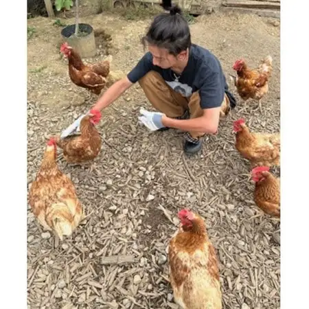 津山市産・平飼い卵25個+割れ保証5個【1486349】