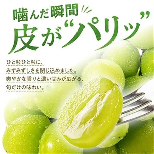 【2026年度発送分】早起き農家の直送便　上出来シャインマスカット1房【配送不可地域：離島・北海道・沖縄県】【1519573】