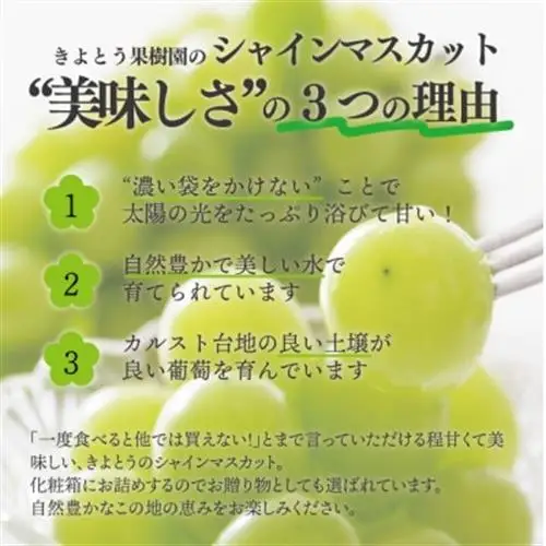 シャインマスカット 3-5房/計2kg～ (岡山県産) 果樹園こだわりの「きよとう」シャイン!【配送不可地域：離島】【1548980】