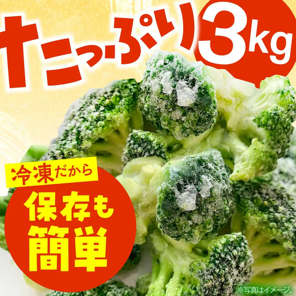冷凍ブロッコリー 3kg 池田海陸物産 [SEW007] ブロッコリー