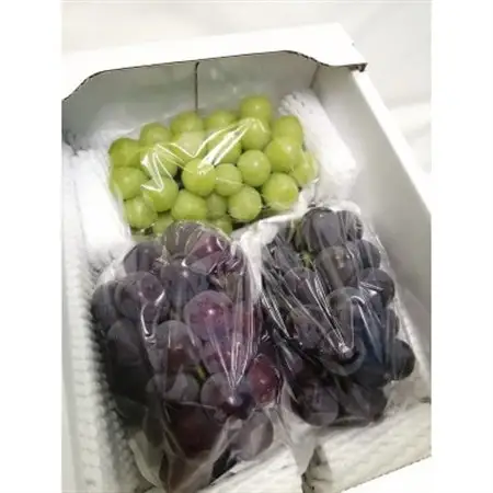 【2027年先行受付】訳あり岡山県産ぶどう詰合せ2kg(シャインマスカット+ピオーネ)【配送不可地域：離島】【1566981】