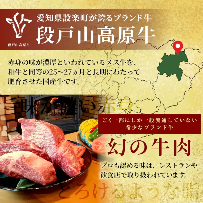 赤身が美味しい！国産牛 フルコースセット 段戸山高原牛 ロース ステーキ 焼き肉 カルビ 赤身 すき焼き しゃぶしゃぶ -050