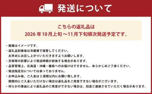 【優等品】福岡県産 博多秋王 約3.1kg以上(8玉～12玉入り) 果物 フルーツ 柿 かき 【2026年10月上旬～11月下旬発送予定】※北海道・沖縄・離島配送不可