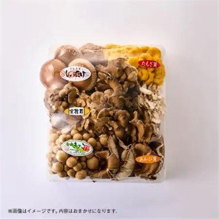 茨城県城里町産 きのこの詰め合わせ Sサイズ 約1kg_野菜  きのこ _【配送不可地域：離島・沖縄県】【1593968】