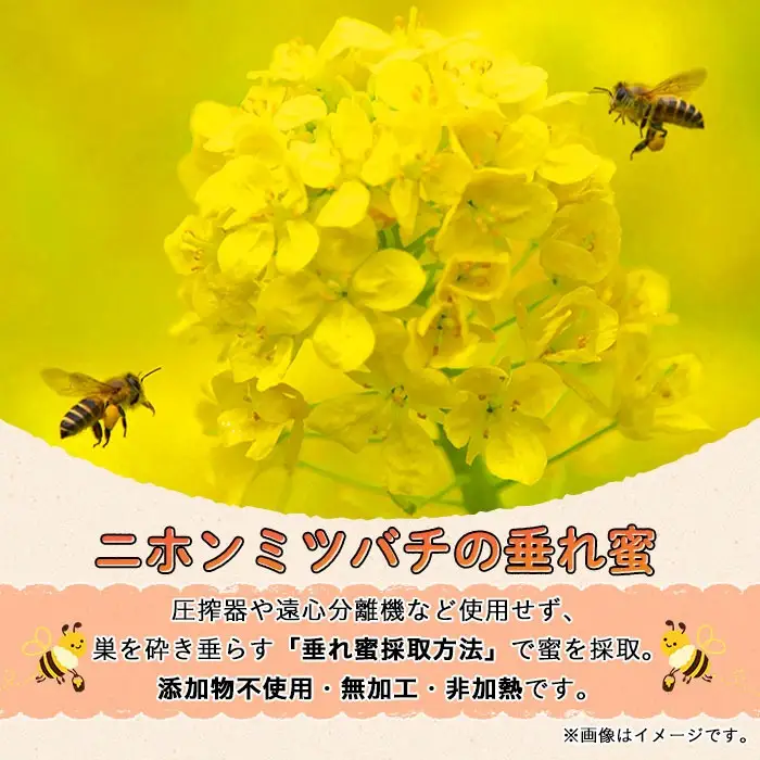 n351 数量限定 種子島産 蜂蜜 日本みつばちのはちみつ 300g × 2個 ハチミツ 垂れ蜜 百花蜜 【ひさちゃん養蜂園】
